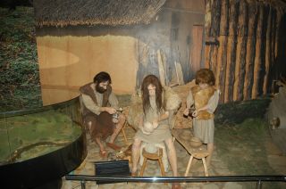 DSC_0286 (1600x1064)